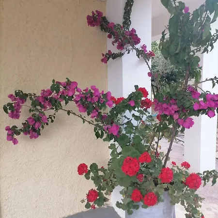 Holiday home P & P Polylimnio Waterfalls *