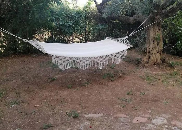 P & P Polylimnio Waterfalls Tatil Evi